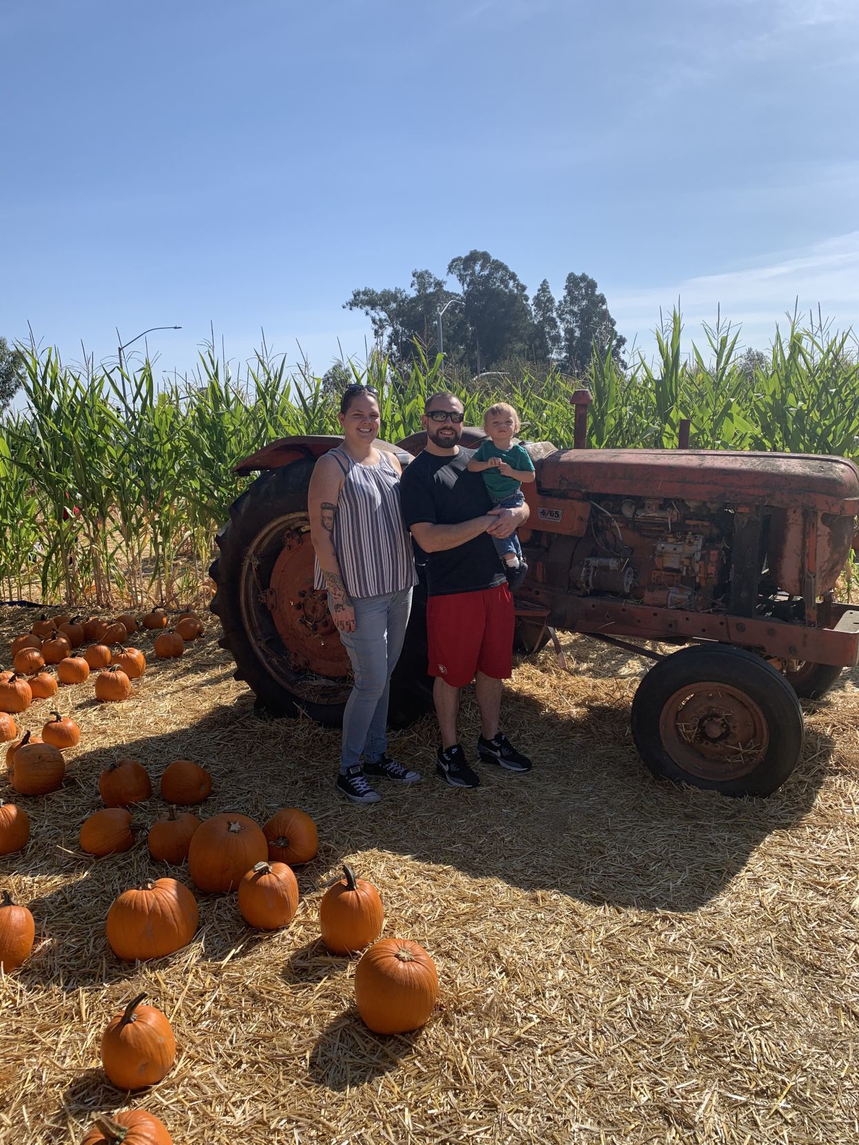 Picking Pumpkins 2019